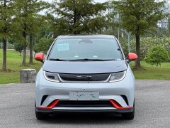 BYD Dolphin 401km Knight Edition - ფოტო 2