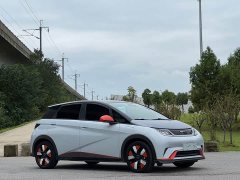 BYD Dolphin 401km Knight Edition - ფოტო 3