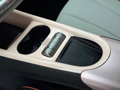 BYD Dolphin 401km Knight Edition - ფოტო 6