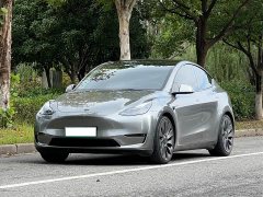 Tesla Model Y Performance All-Wheel Drive - ფოტო 1
