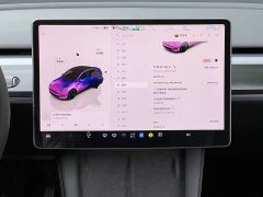 Tesla Model Y Performance All-Wheel Drive - ფოტო 10
