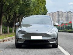 Tesla Model Y Performance All-Wheel Drive - ფოტო 2