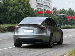 Tesla Model Y Performance All-Wheel Drive - ფოტო 3