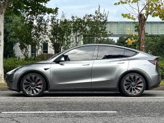 Tesla Model Y Performance All-Wheel Drive - ფოტო 5
