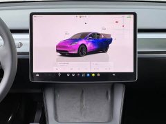 Tesla Model Y Performance All-Wheel Drive - ფოტო 9
