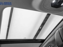 Chery Tiggo 8 PLUS 2021 290TGDI DCT Passion Edition - ფოტო 20
