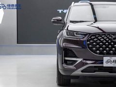 Chery Tiggo 8 PLUS 2021 290TGDI DCT Passion Edition - ფოტო 4