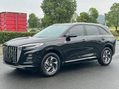 FAW Red Flag HS3 1.5T Shanwei Edition - ფოტო 3