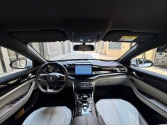 BYD Qin PLUS Champion Edition DM-i 55KM Leading - ფოტო 6