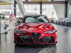 Alfa Romeo Giulia 2021 GTAm - ფოტო 6