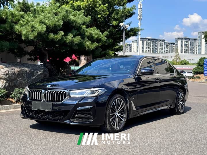 BMW 5 Series 530Li Premier M Sport Package - ავტომობილი ჩინეთიდან