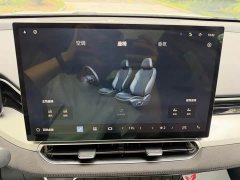 Geely Xingrui Oriental Radiance 2.0T Diesel Today Edition - ფოტო 10