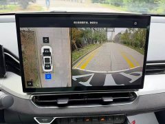 Geely Xingrui Oriental Radiance 2.0T Diesel Today Edition - ფოტო 9