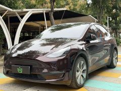 Tesla Model Y Long Range All-Wheel Drive - ფოტო 1