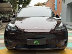 Tesla Model Y Long Range All-Wheel Drive - ფოტო 2