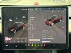 Tesla Model Y Long Range All-Wheel Drive - ფოტო 5
