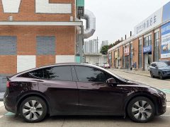 Tesla Model Y Long Range All-Wheel Drive - ფოტო 7