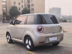 Changan Lumin 2023 205km Xiangqin Edition - ფოტო 5
