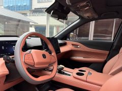 Changan UNI-Z New Energy Blue Whale Smart Electric iDD 125km Excellence Edition - ფოტო 6
