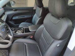 Ford Lingrui 2022 EcoBoost 170 Platinum Edition - ფოტო 11