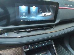 Ford Lingrui 2022 EcoBoost 170 Platinum Edition - ფოტო 9
