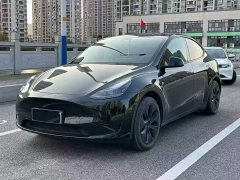 Tesla Model Y Rear-Wheel Drive - ფოტო 1