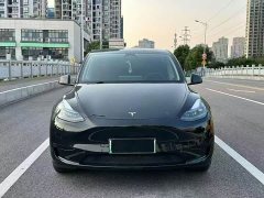 Tesla Model Y Rear-Wheel Drive - ფოტო 2