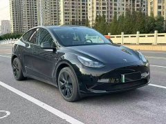 Tesla Model Y Rear-Wheel Drive - ფოტო 3