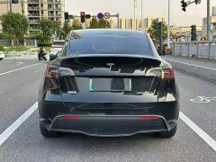 Tesla Model Y Rear-Wheel Drive - ფოტო 8