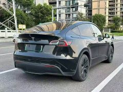 Tesla Model Y Rear-Wheel Drive - ფოტო 9
