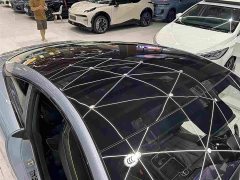 Neta GT 2023 560 Lite - ფოტო 20