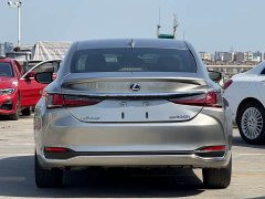 Lexus ES 2020 300h Premium Edition - ფოტო 4