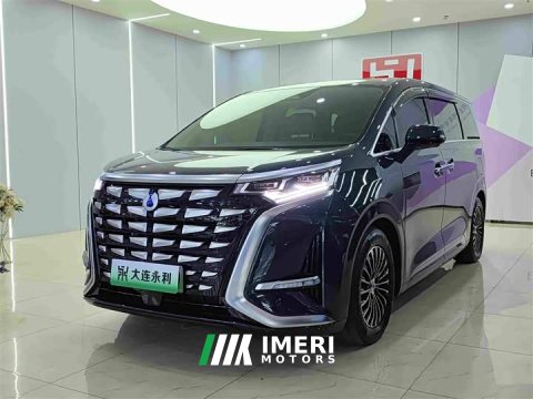 2024 Denza BYD Denza D9 DM-i 1050 Premium - ავტომობილი ჩინეთიდან