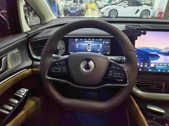 Denza BYD Denza D9 DM-i 1050 Premium - ფოტო 8