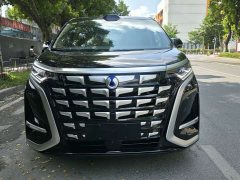 Denza BYD Denza D9 Second Generation DM-i AWD Flash Charging Luxury - ფოტო 2