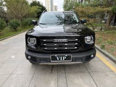 Great Wall Dachshund 1.5T DCT Two-Wheel Drive Border Collie Edition - ფოტო 1