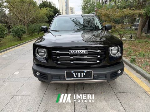 2021 Great Wall Dachshund 1.5T DCT Two-Wheel Drive Border Collie Edition - ავტომობილი ჩინეთიდან