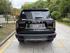 Great Wall Dachshund 1.5T DCT Two-Wheel Drive Border Collie Edition - ფოტო 12