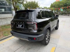 Great Wall Dachshund 1.5T DCT Two-Wheel Drive Border Collie Edition - ფოტო 13