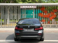 BMW 5 Series 530Li Premier Luxury Package - ფოტო 8