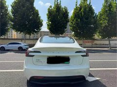 Tesla Model 3 Rear-Wheel Drive - ფოტო 8