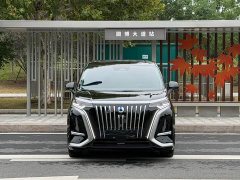Denza BYD Denza D9 2022 EV 600 AWD Flagship - ფოტო 2