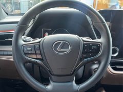 Lexus ES 300h Premium Edition - ფოტო 13