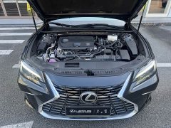 Lexus ES 300h Premium Edition - ფოტო 6