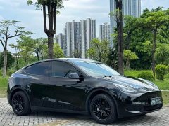 Tesla Model Y 2022 Facelift Rear-Wheel Drive - ფოტო 3