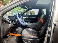 Haval Divine Beast 1.5T Smart Enjoy Edition - ფოტო 8
