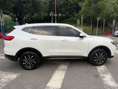 Haval H6 National Trend Edition 1.5T Automatic Urban Version - ფოტო 5