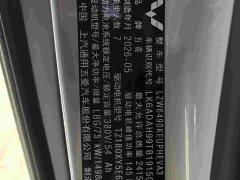 Wuling Starlight 730 New Energy 2025 PHEV 125km Luxury - ფოტო 15