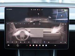 Tesla Model Y Long Range All-Wheel Drive - ფოტო 14
