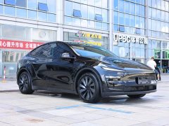 Tesla Model Y Long Range All-Wheel Drive - ფოტო 3